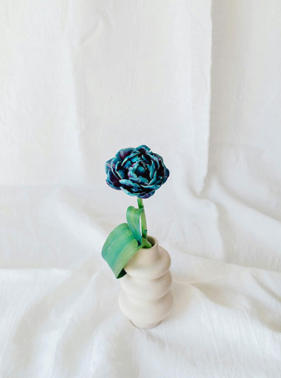 Imagem de uma flor azul num vaso